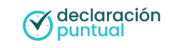 Declaración Puntual